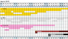 Astrology Success + Love Calendar