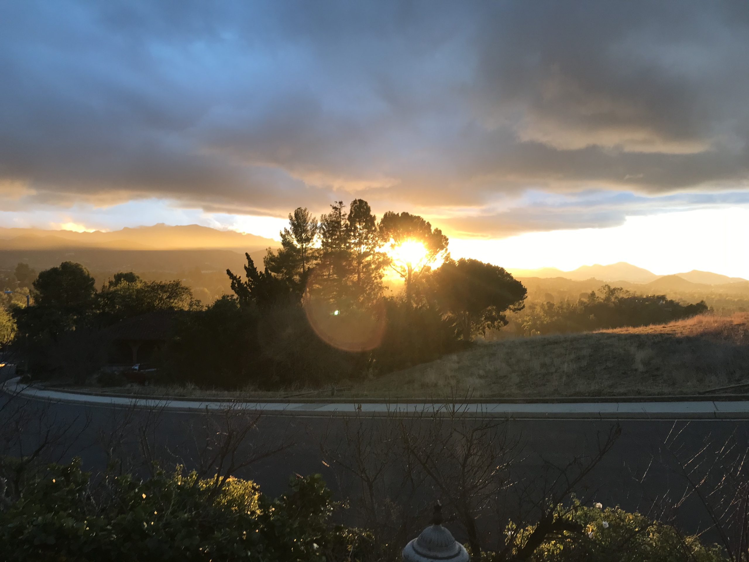 Magi Helena - view from my office