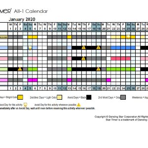 Personal Premium All-1 Calendar