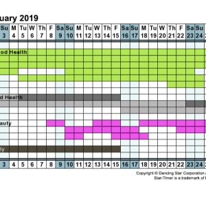 Instant Personal Health & Beauty Calendar