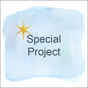 Special Project