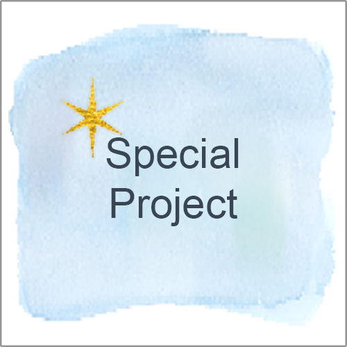 Special Project